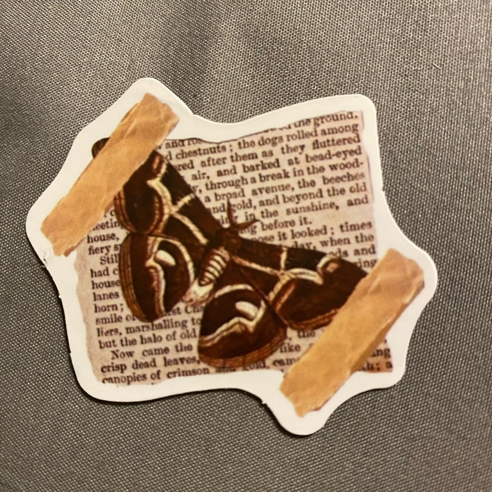 🌈20/$12🌈 Brown Butterfly Sticker